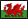 Welsh flag icon
